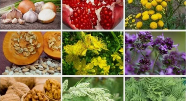 Léčba parazitů v lidském těle lidovými léky