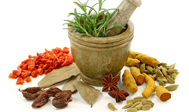 metody léčby parazitů v těle