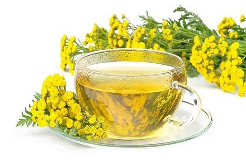 tansy odvar na parazity