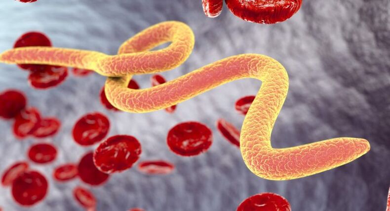 Parazitické organismy